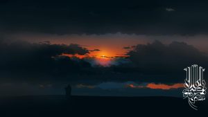 elias313_94